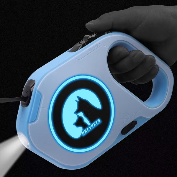 NEW LED Retractable Dog Lead With Flashlight Type-C Charge Retractable Dog Lead With Light Blue Color